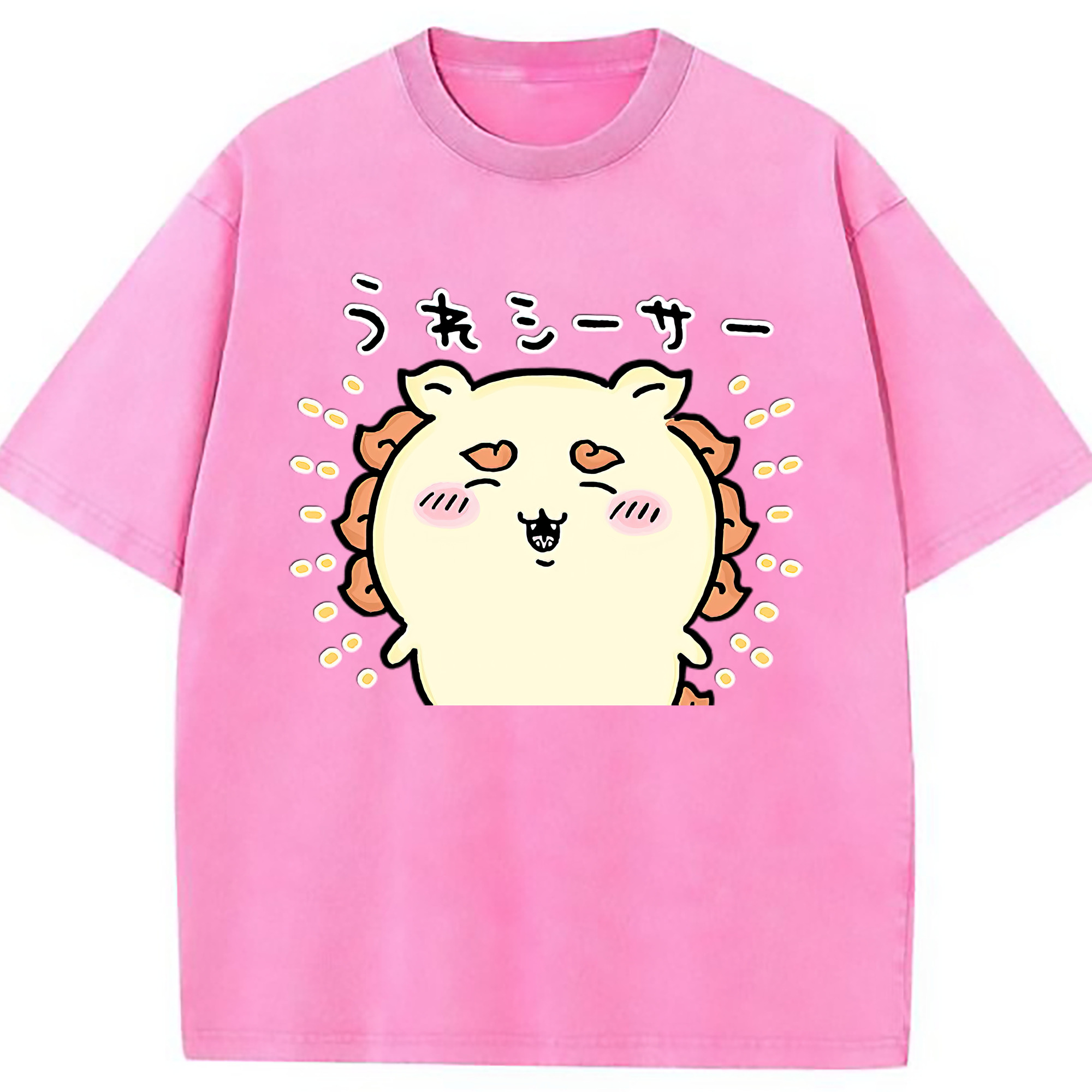 （画像用） ちいかわ シーサー Chii-kawa Shisa 綿100% ヴィンテージ風 半袖Tシャツ（フロントプリント）